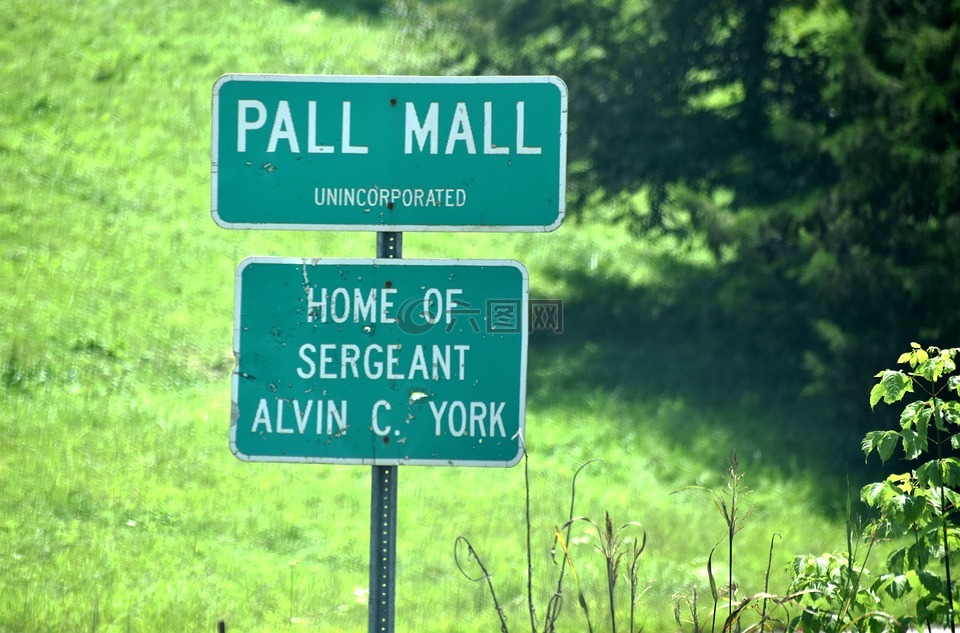 pall mall tn签署,pall mall,警长的纽约的家乡