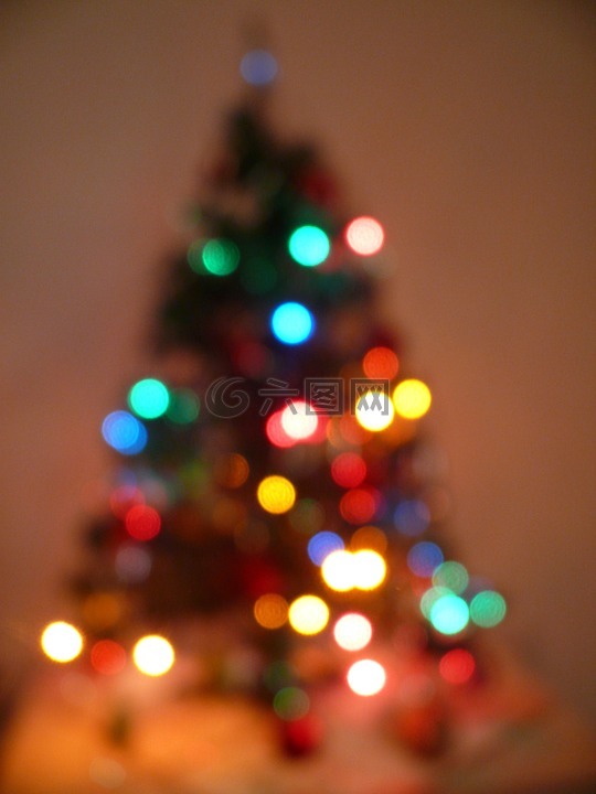 圣诞树,圣诞节,灯