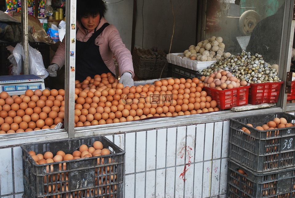 鸡蛋,市场,供应商