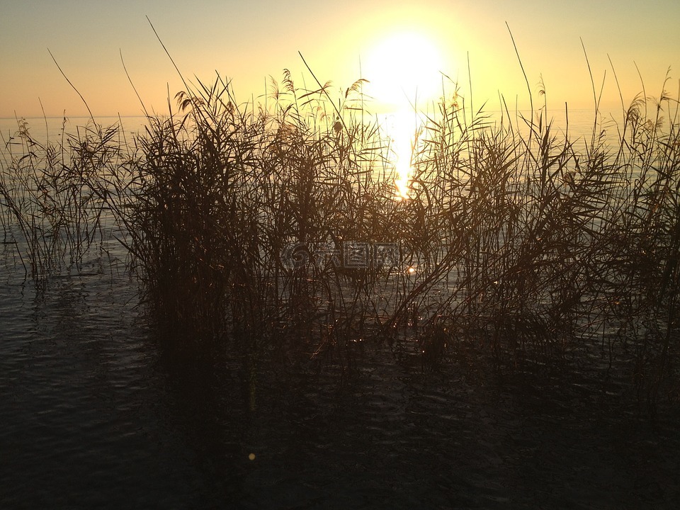 日落,湖,加尔达湖