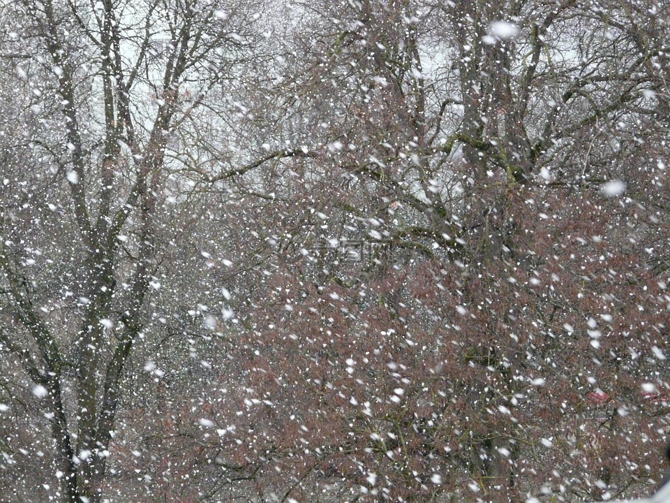降雪,雪,雪花