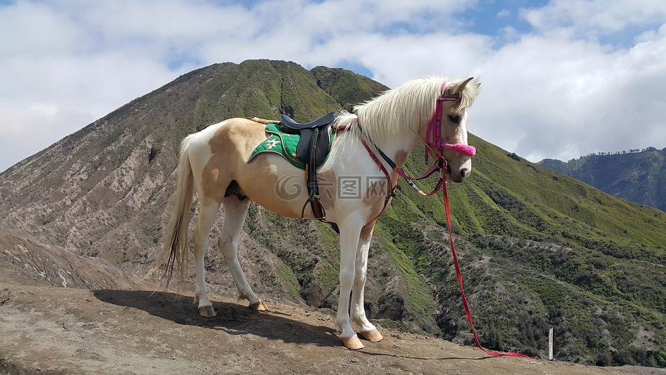 山,溴,印度尼西亚