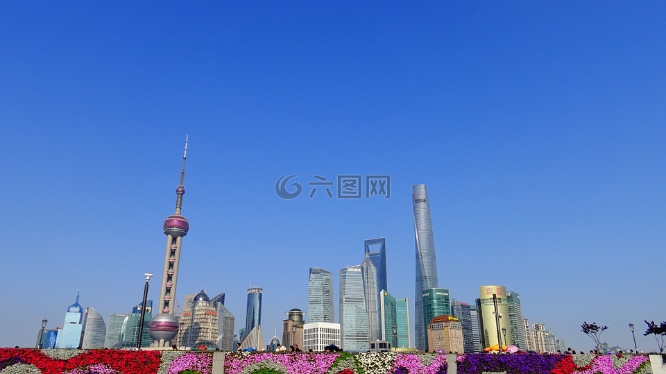 上海,中国,城市
