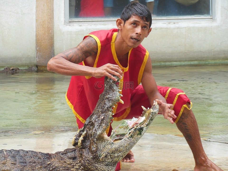 鳄鱼农场,北榄府,泰国