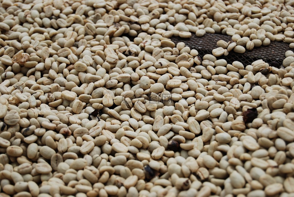 咖啡豆,焙炒的咖啡,咖啡