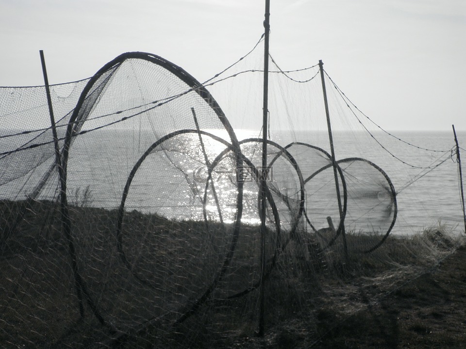 重用,网络,捕鱼