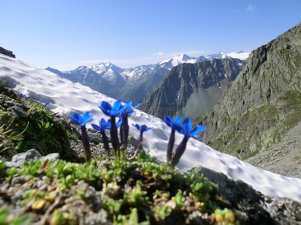 bassler轭,关闭高海拔线索,高山