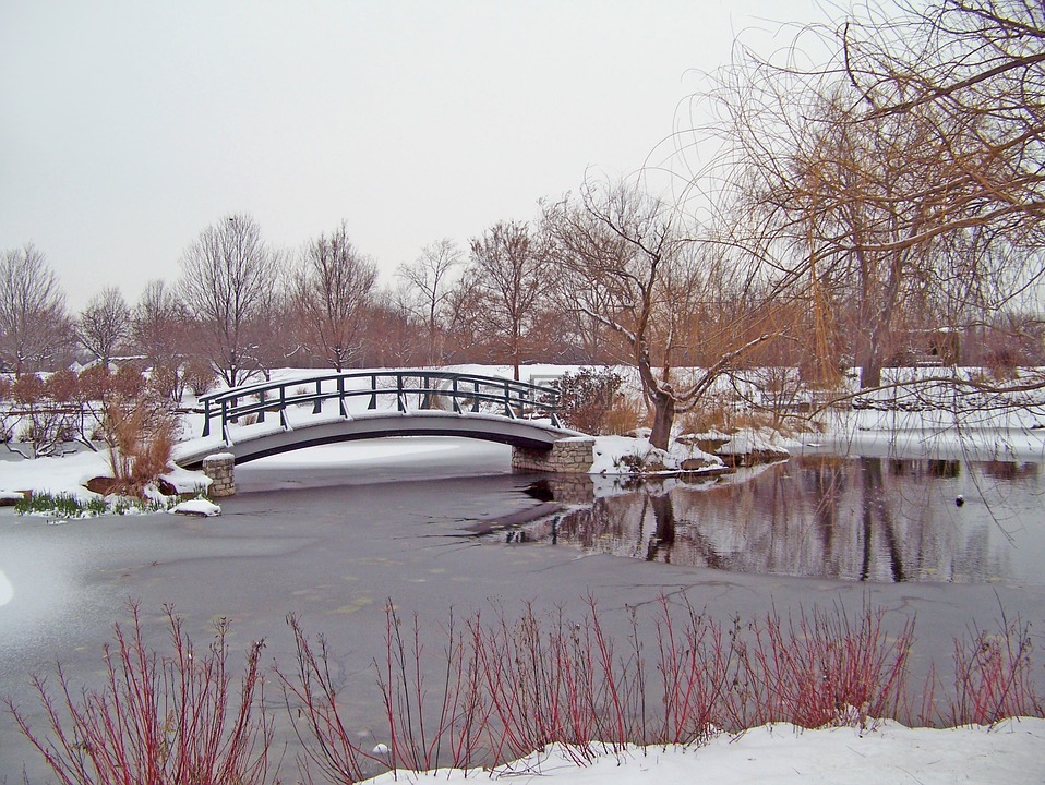 溪,橋,雪