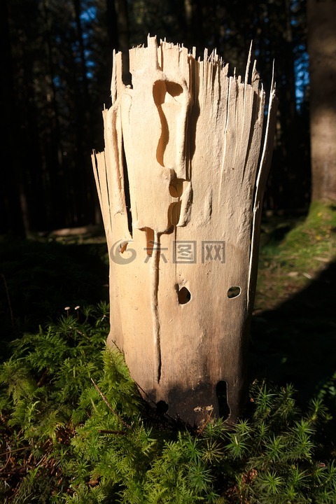 木,雕塑,图层