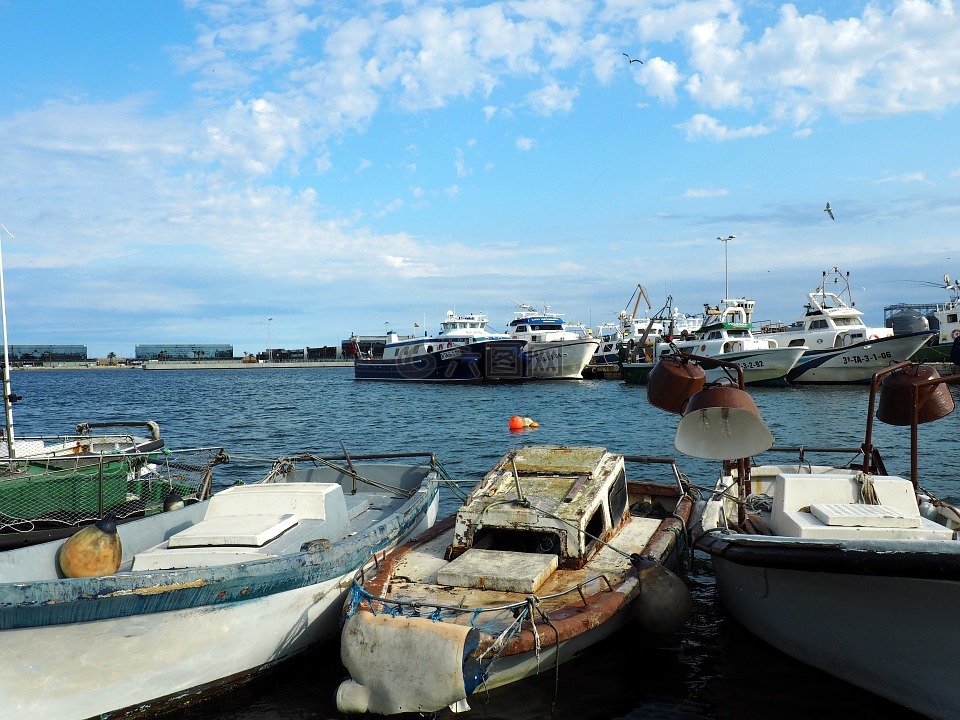 渔船,西班牙,塔拉戈纳