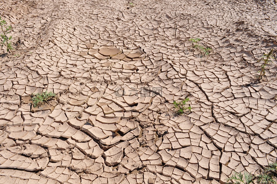 干旱,破解地球,干旱的大地