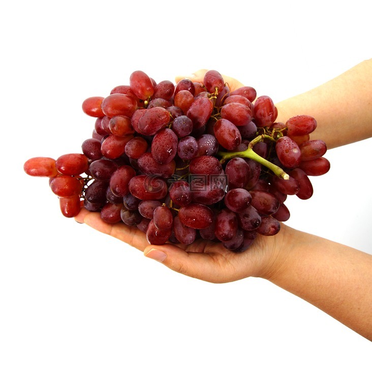 葡萄,在手中的葡萄,手