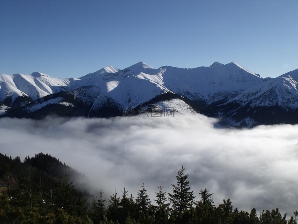 山,雪,有雾