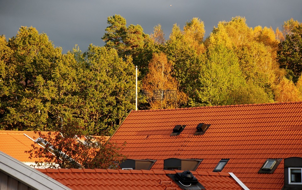 屋顶上,himmel,秋季