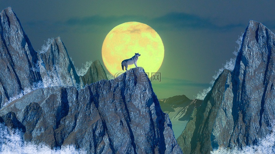 狼,月亮,山