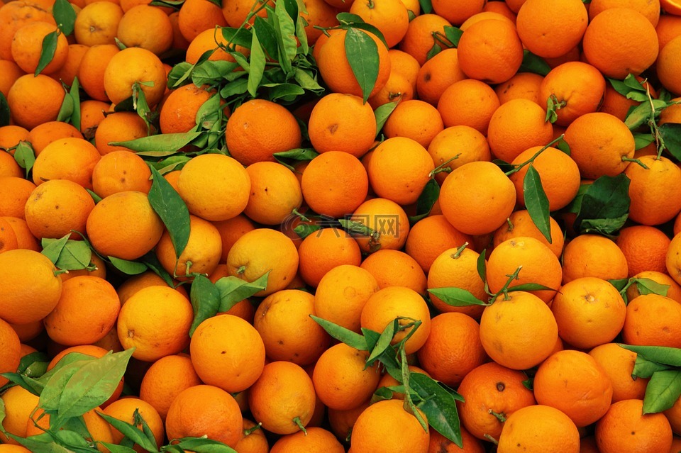 背景,柑橘,颜色