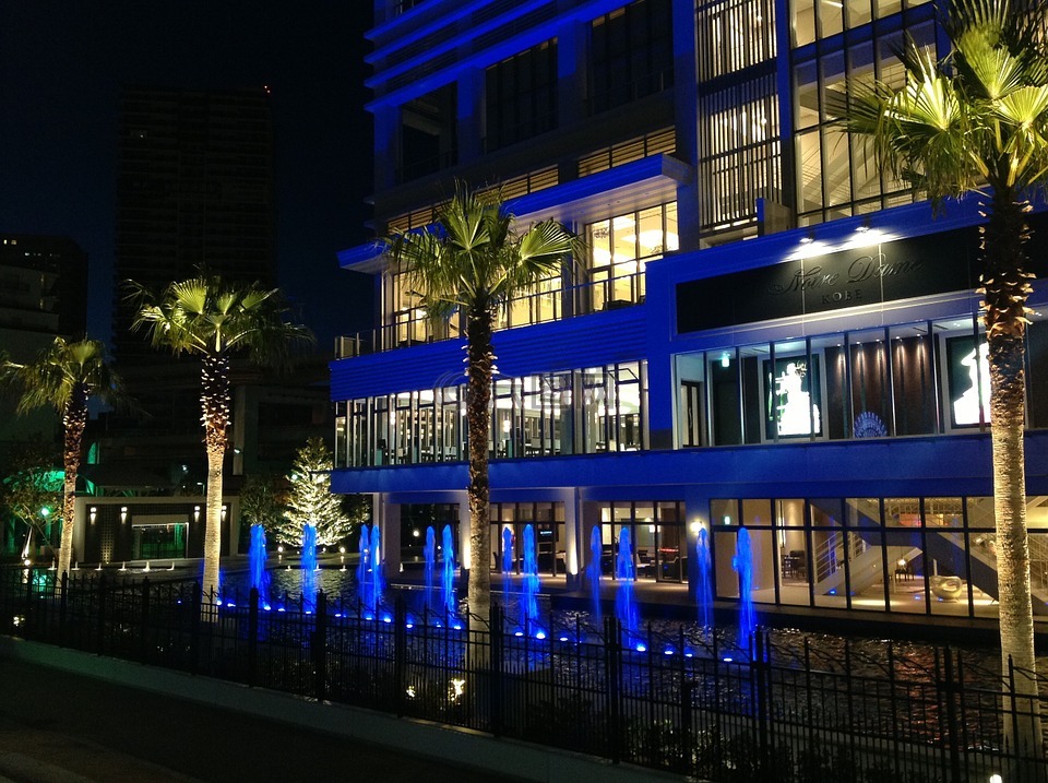 酒店,夜景,棕榈树