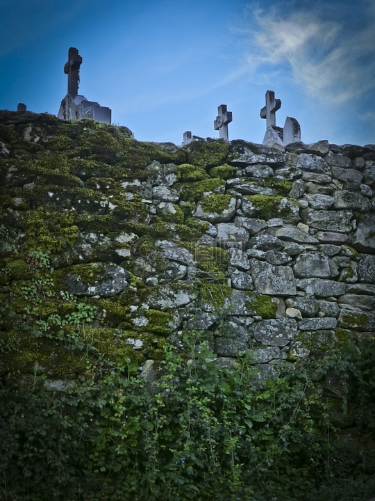 坟场,公墓,死者