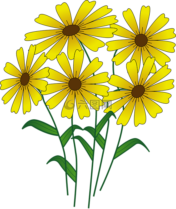 鲜花,黄色,雏菊