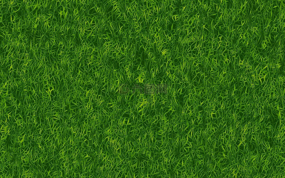 草,绿色,纹理
