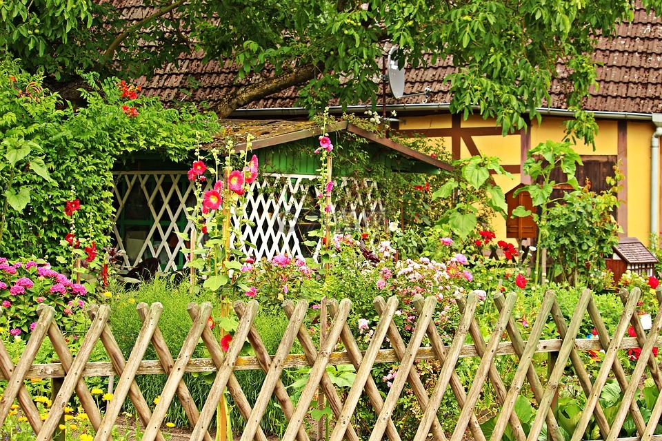 花园,别墅花园,篱笆
