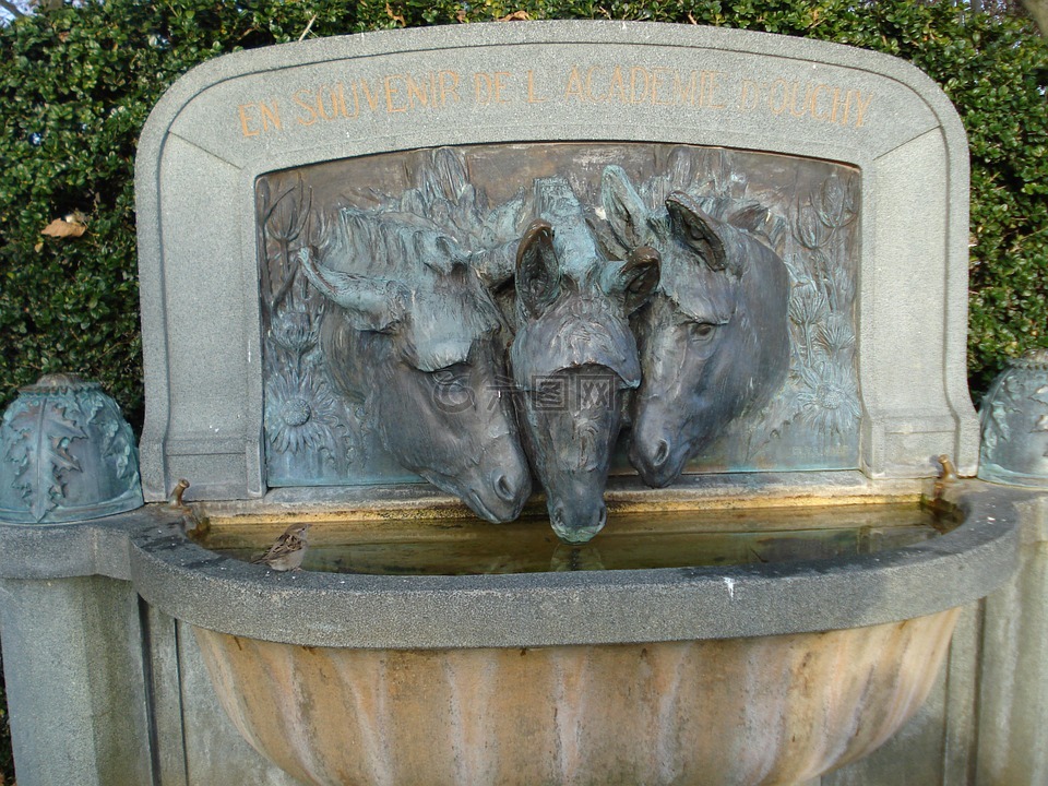 喷泉,三头毛驴,驴