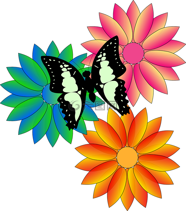 蝴蝶,鲜花,黑