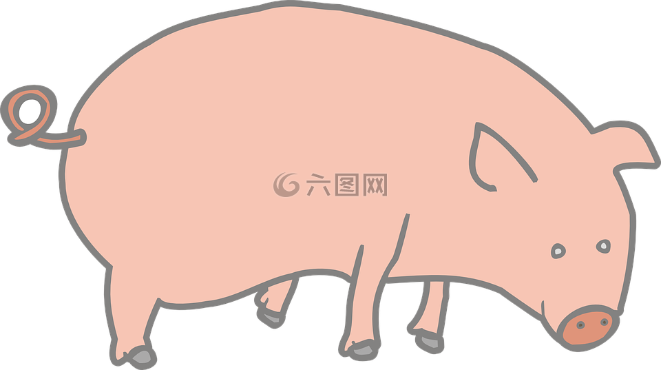 猪,粉红色,农场