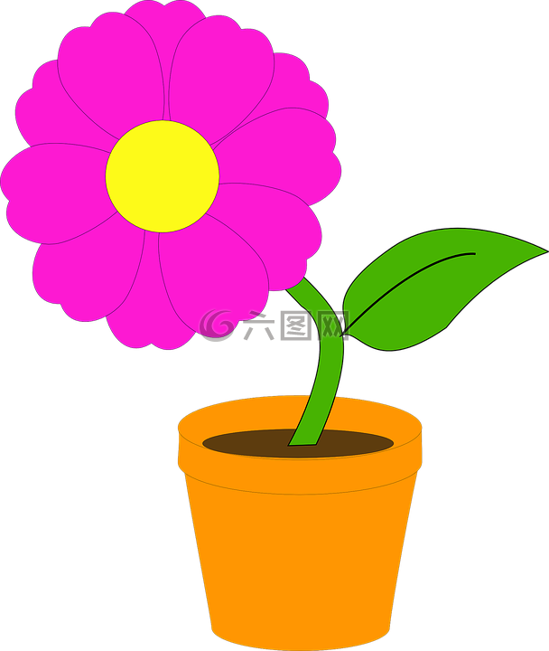 植物,盆栽,花