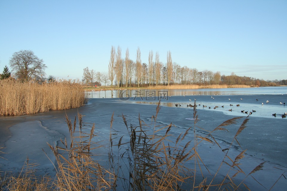 冬天,结冰的湖面,荷兰