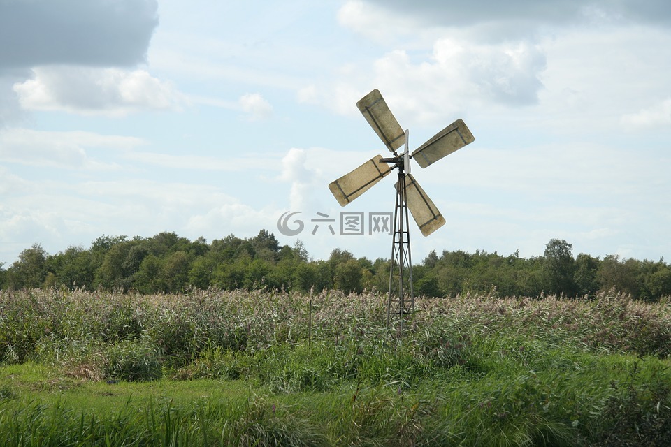 大风车,景观,荷兰