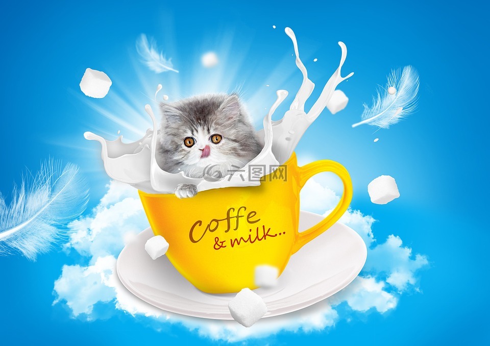 猫,牛奶,茶杯