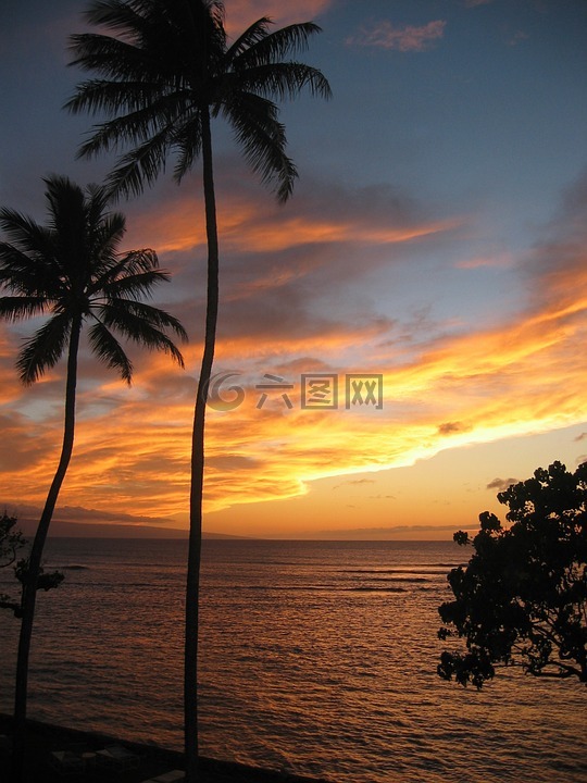 夏威夷,日落,热带