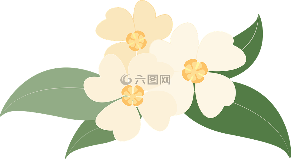 鲜花,植物,黄色