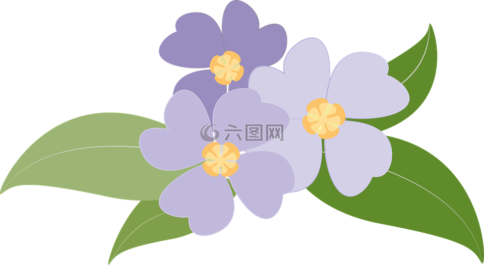 鲜花,植物,紫色