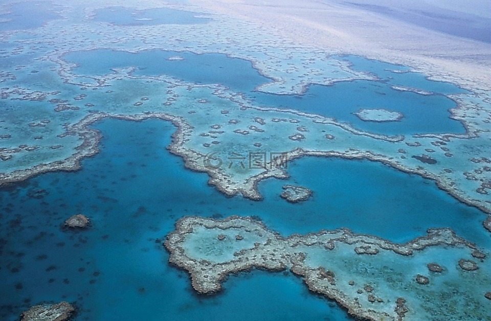 大堡礁,珊瑚,澳大利亚
