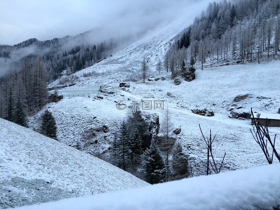 冬天,雪,寒冬