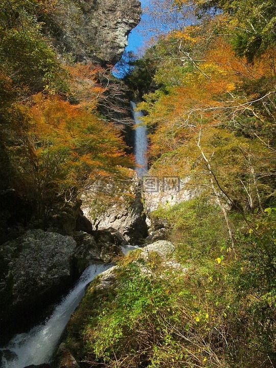 日本,秋季树叶,瀑布