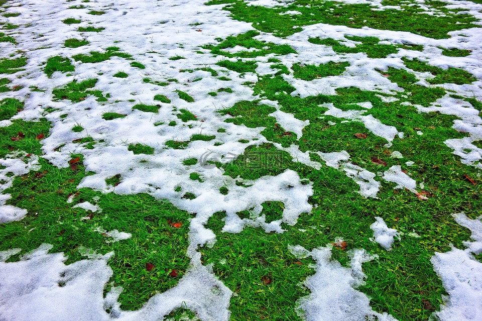 雪,冰雪融化,冬天