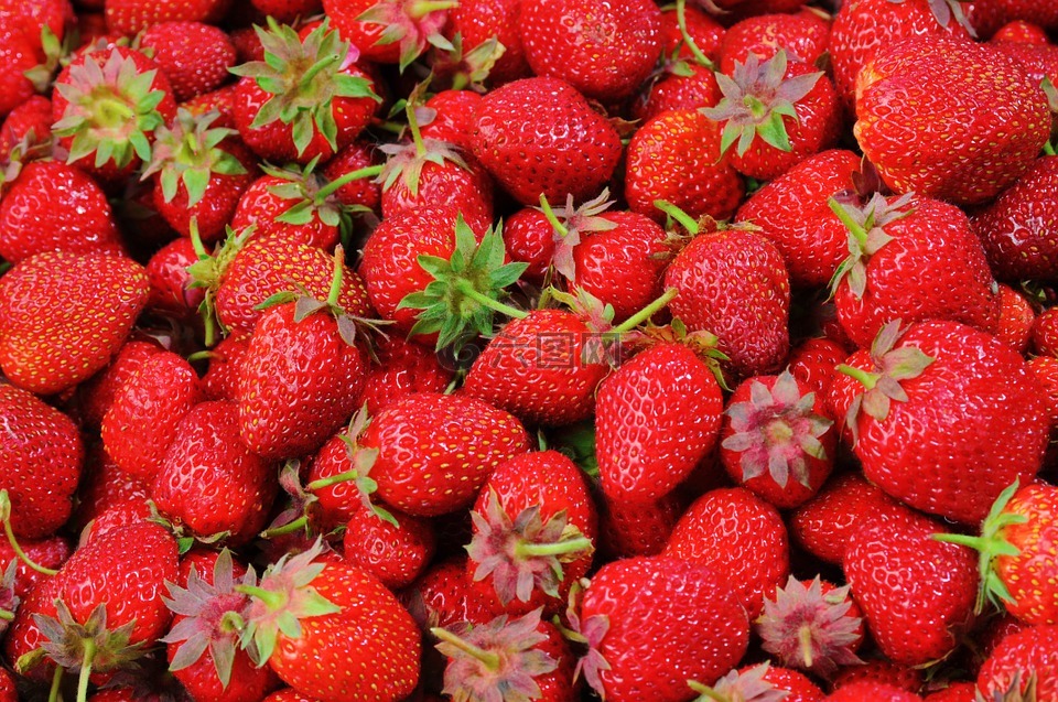 草莓,浆果,水果
