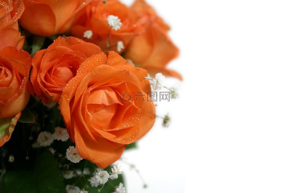玫瑰,花束,婚礼