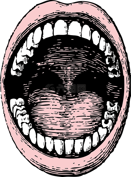口,人类,牙齿