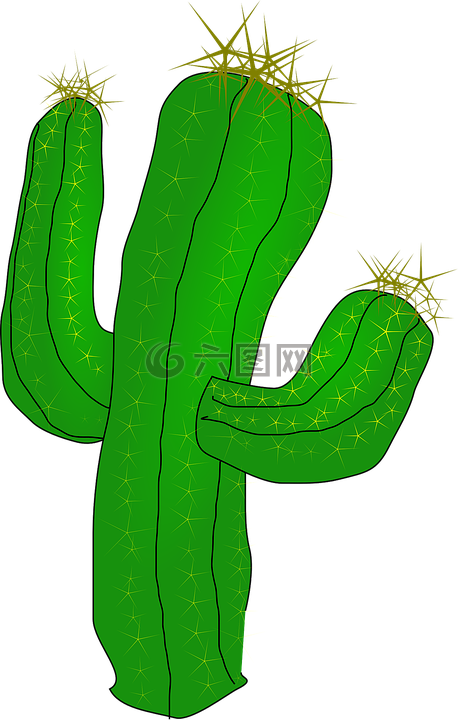 仙人掌 沙漠 植物高清图库素材免费下载 图片编号 六图网