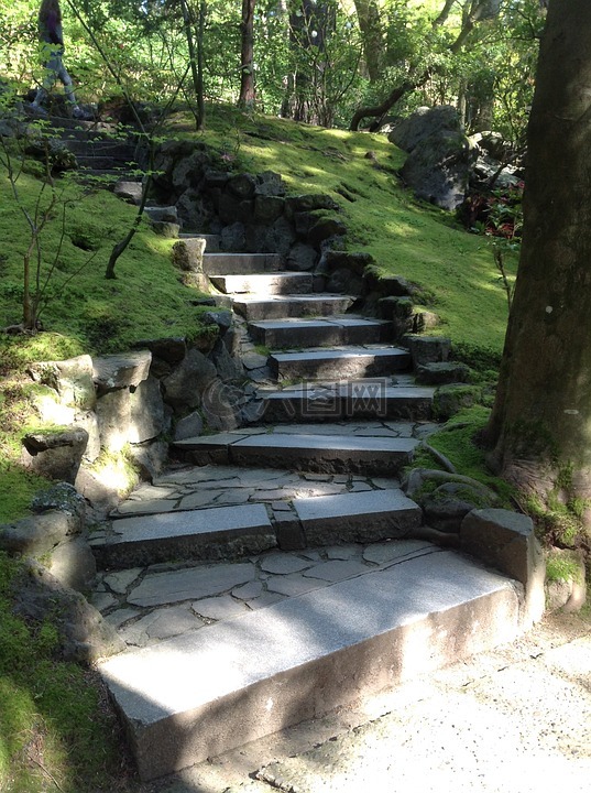 楼梯,路径,波特兰日本花园