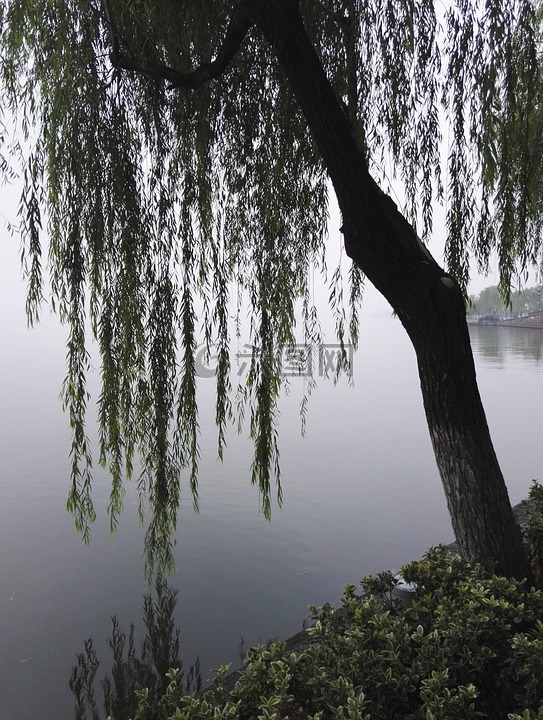 杭州,西湖,风景