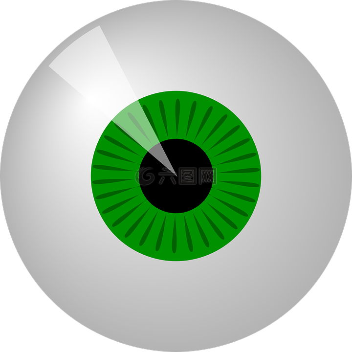 眼,绿色,圆
