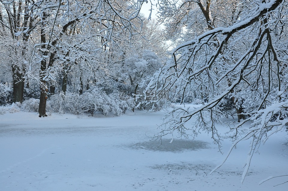 冬天,景观,自然录音