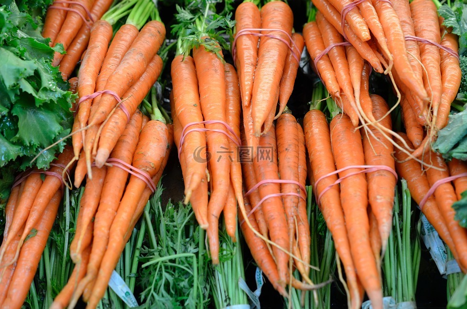 胡萝卜,橙色,蔬菜