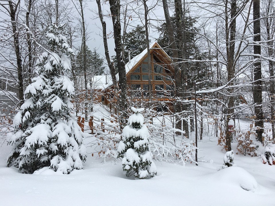 冬季森林,雪,小屋