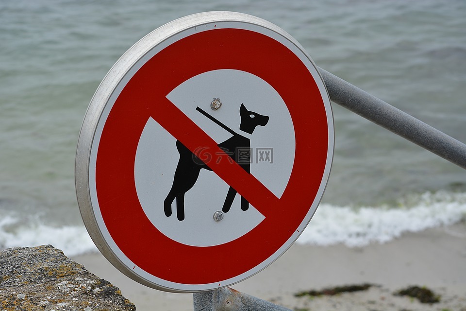 小组,禁令,允许没有狗